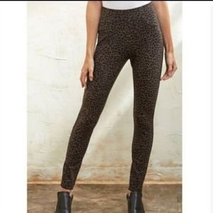 Blank NYC Pants Cheetah Leopard Pull On Ponte Knit Pants size 28 Boho Classic